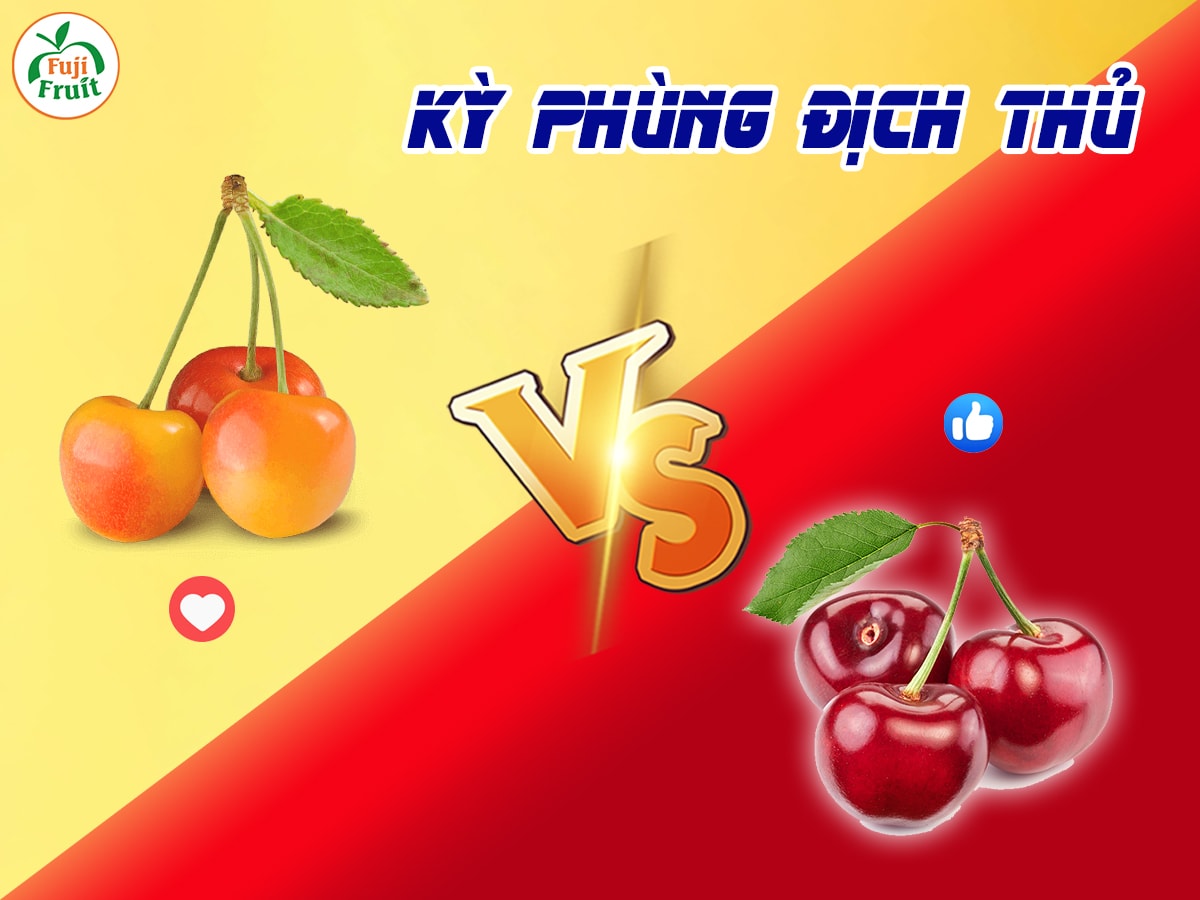 Cherry vàng Mỹ có ngon không?