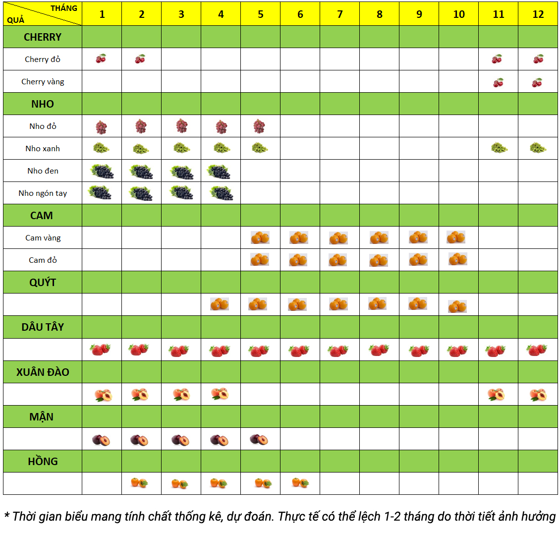 Cẩm nang ăn trái cây theo mùa