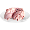 Chim câu Hòa Bình